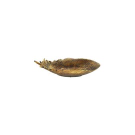 Bandeja de Resina en forma de Pluma Dorada 43.2 cm Chico